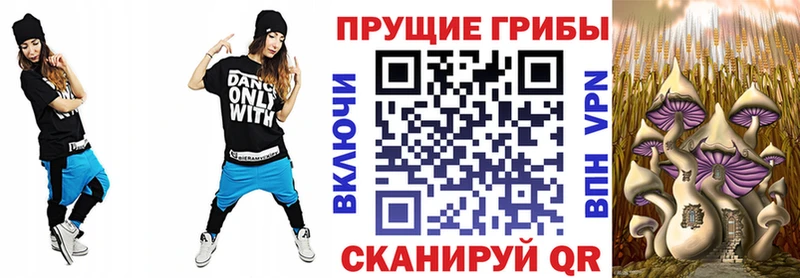 OMG онион  Городовиковск  Псилоцибиновые грибы Cubensis  наркошоп 